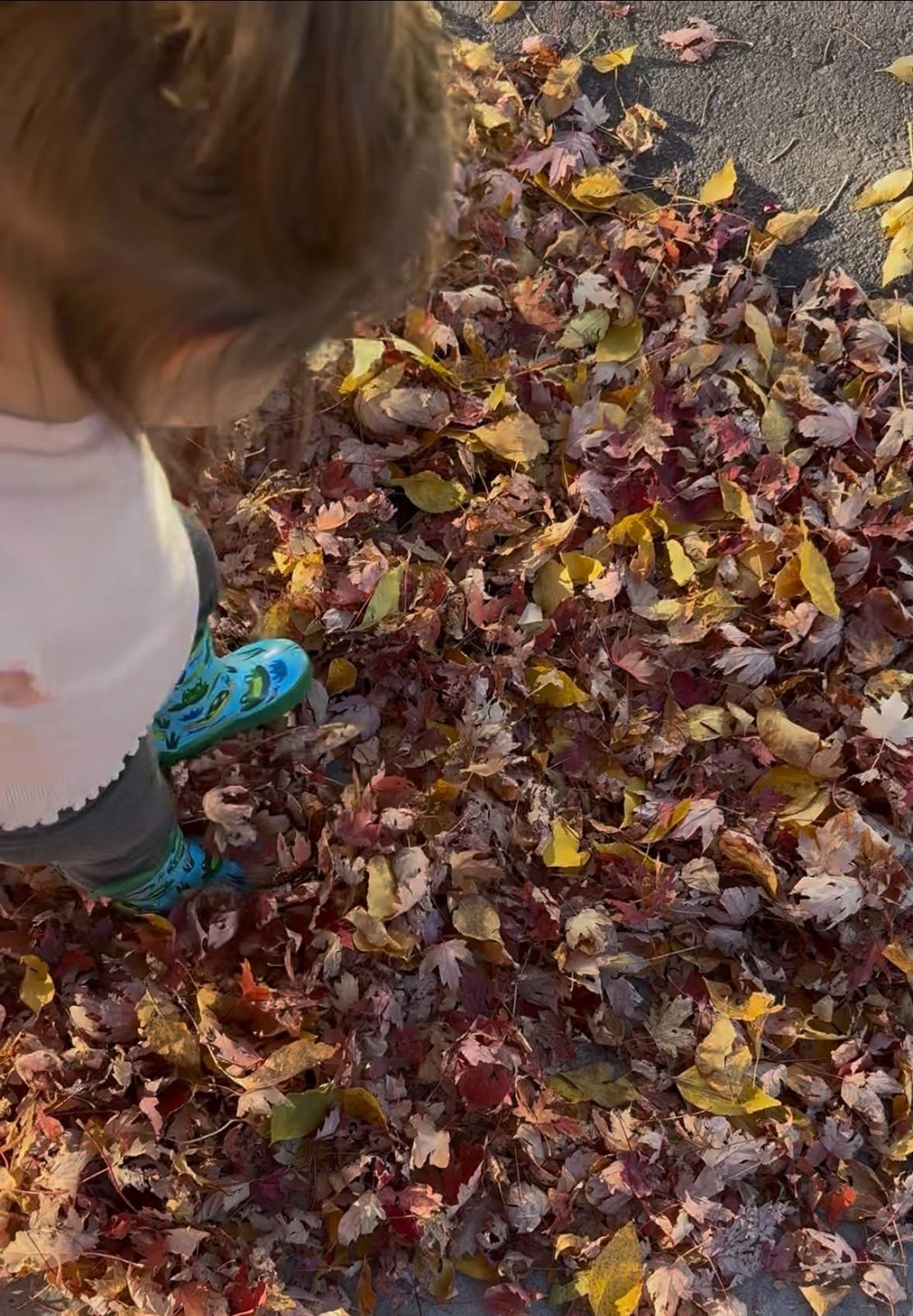Little rain boots stomping through fall leaves